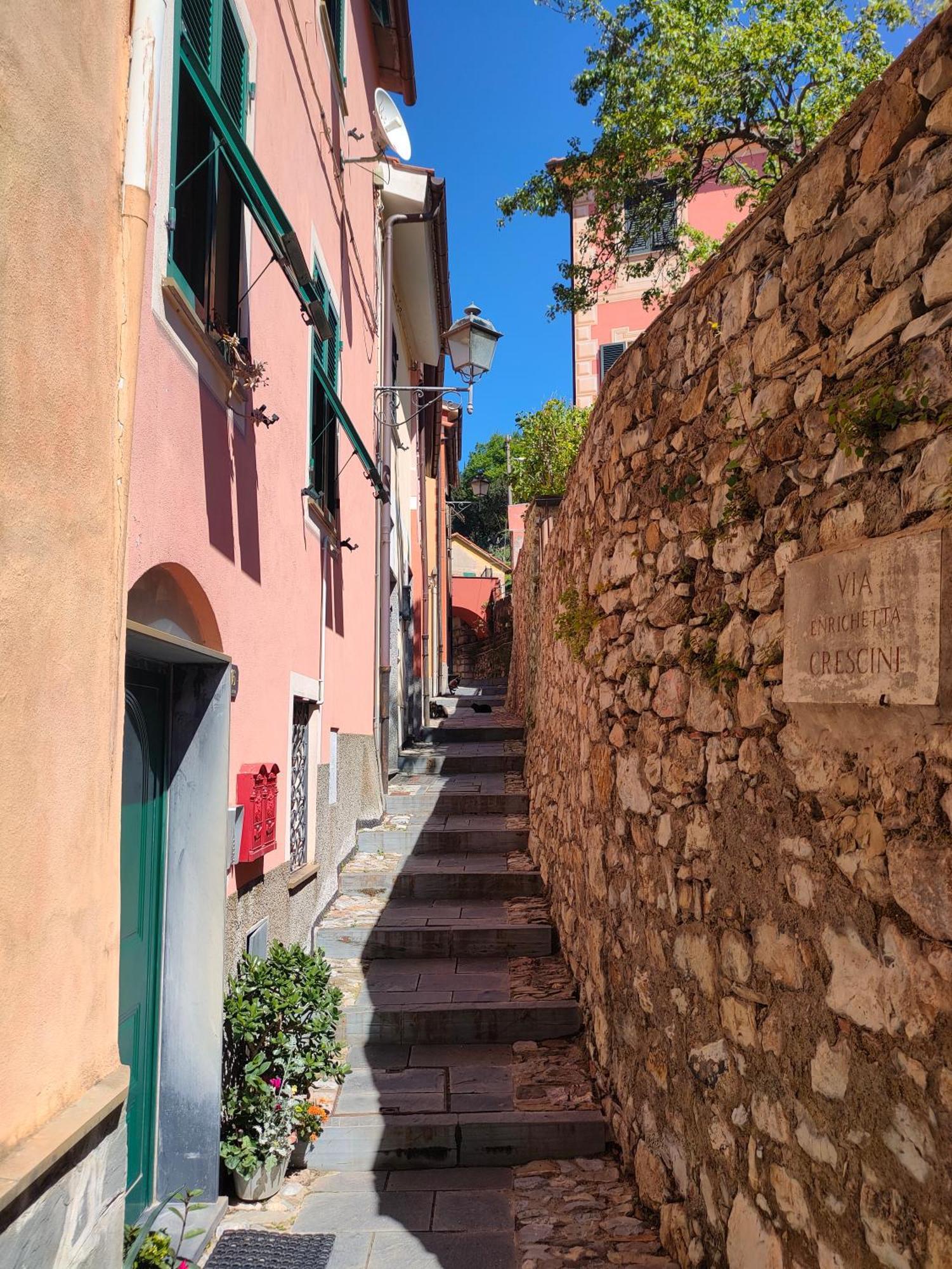Camera Tra Le Cinque Terre, Camogli E Portofino. Vista Valle E Scorcio Mare All'Orizzonte Castiglione Chiavarese Luaran gambar