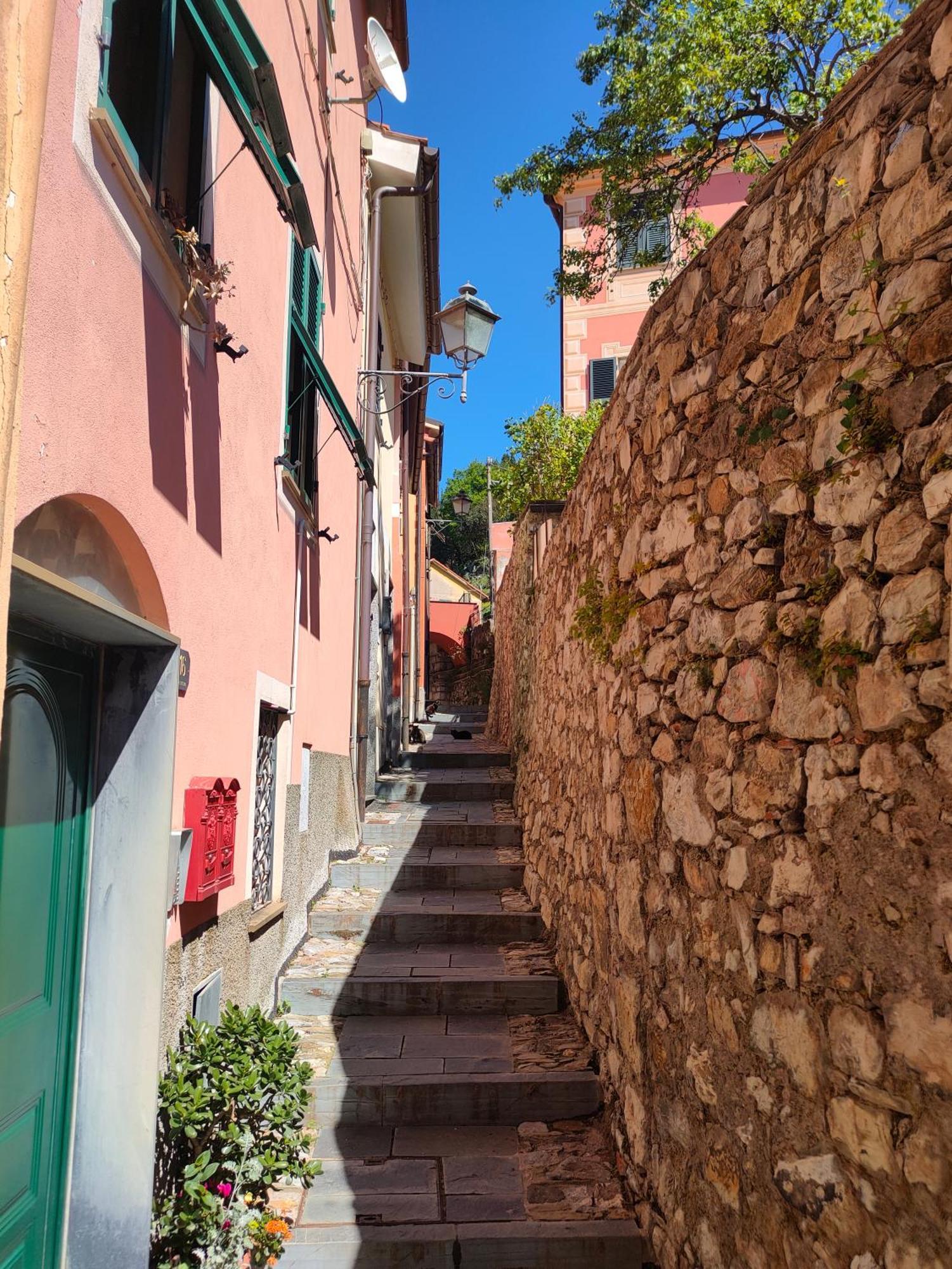 Camera Tra Le Cinque Terre, Camogli E Portofino. Vista Valle E Scorcio Mare All'Orizzonte Castiglione Chiavarese Luaran gambar
