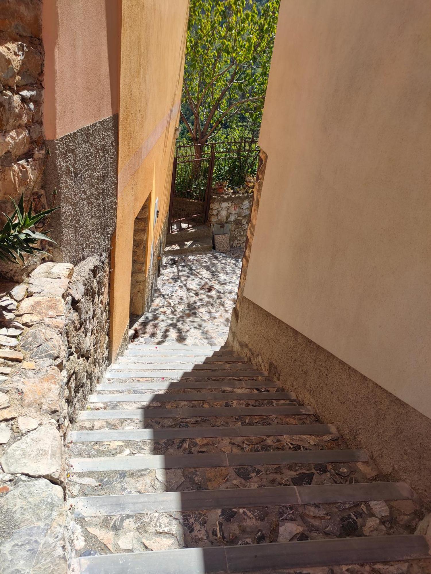 Camera Tra Le Cinque Terre, Camogli E Portofino. Vista Valle E Scorcio Mare All'Orizzonte Castiglione Chiavarese Luaran gambar